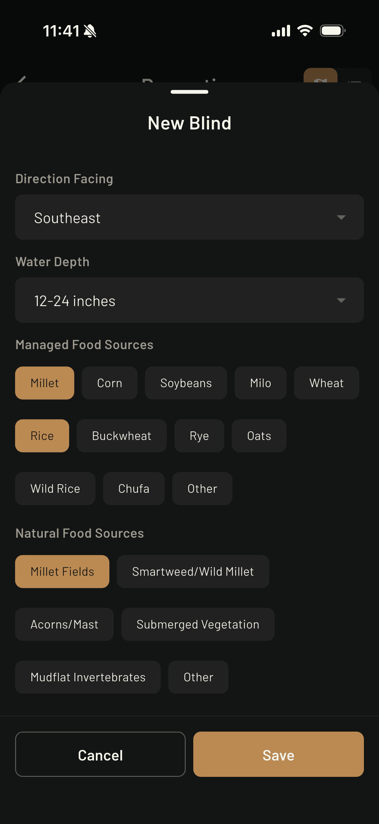 New blind setup with food sources